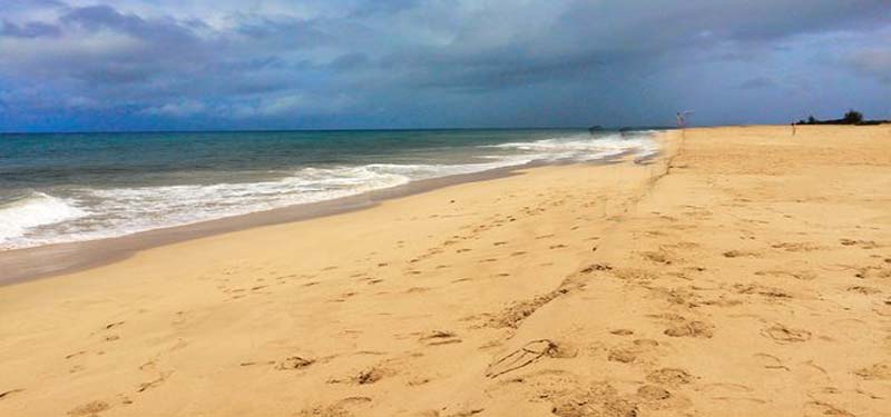 Kekaha Beach Park Hawaii