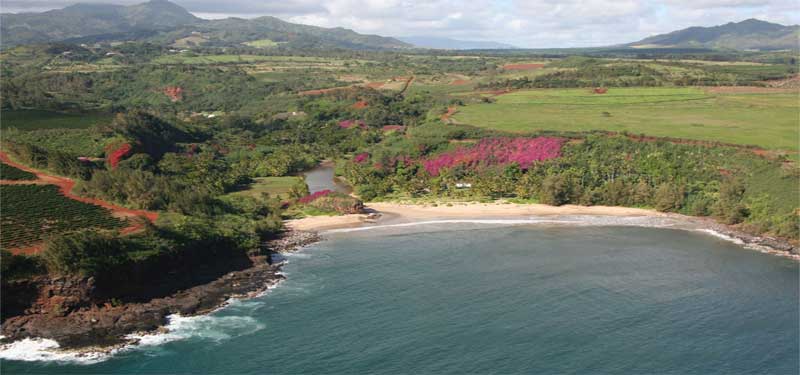 Lawai Kai Beach Hawaii