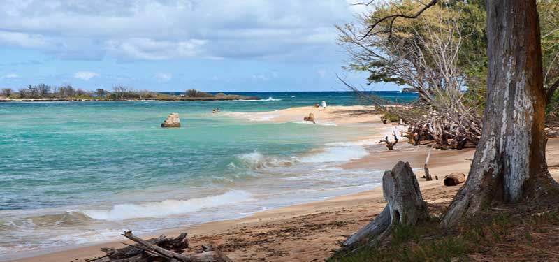 Mokuauia Beach Hawaii