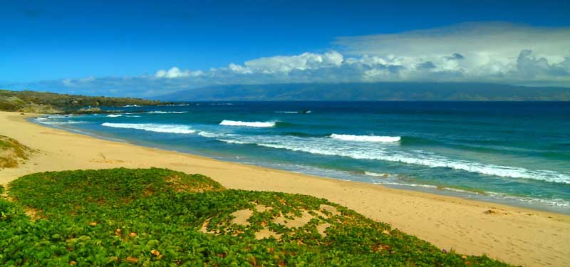 Oneloa Beach Hawaii