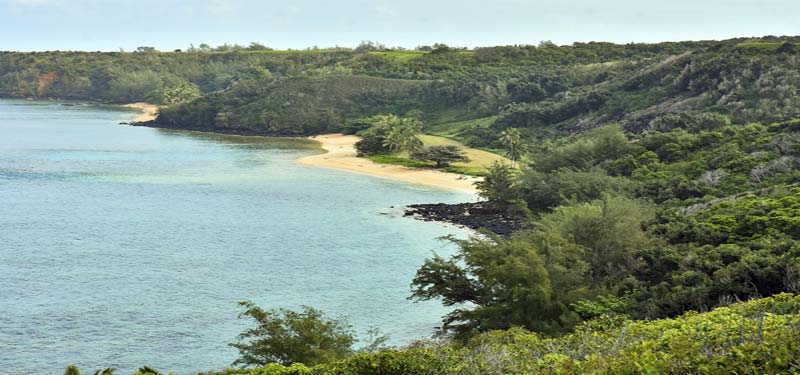 Pilaa Beach Hawaii