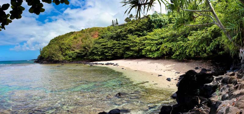 SeaLodge Beach Hawaii