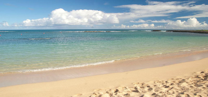 Turtle Bay Beach Hawaii