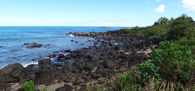 Uppers Surfing Support Park Beach Hawaii