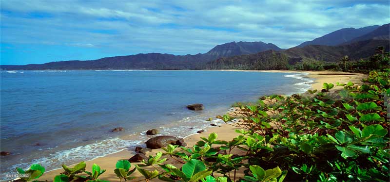 Waikoko Beach Hawaii