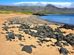 Budir Beach Iceland