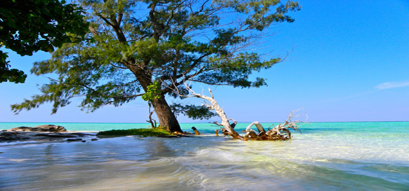 Kura-kura Beach in Indonesia