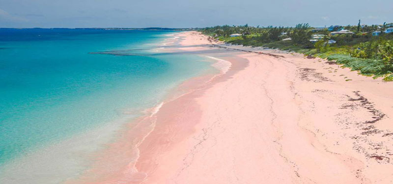 Pink Beach in Indonesia