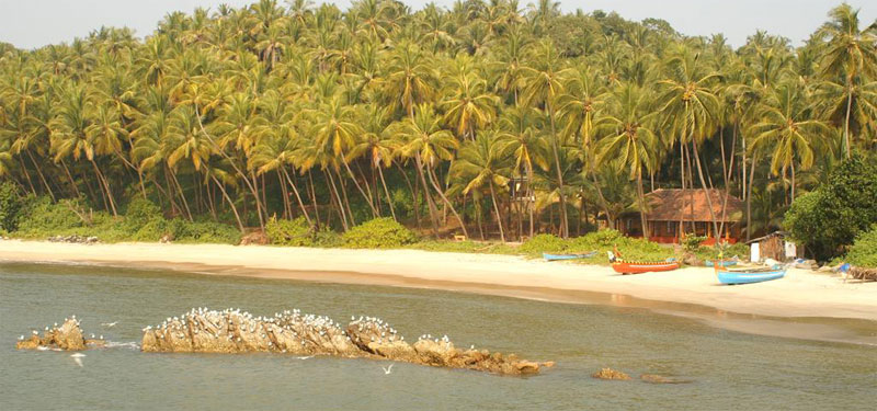 Kizhunna Ezhara Beach Kerala