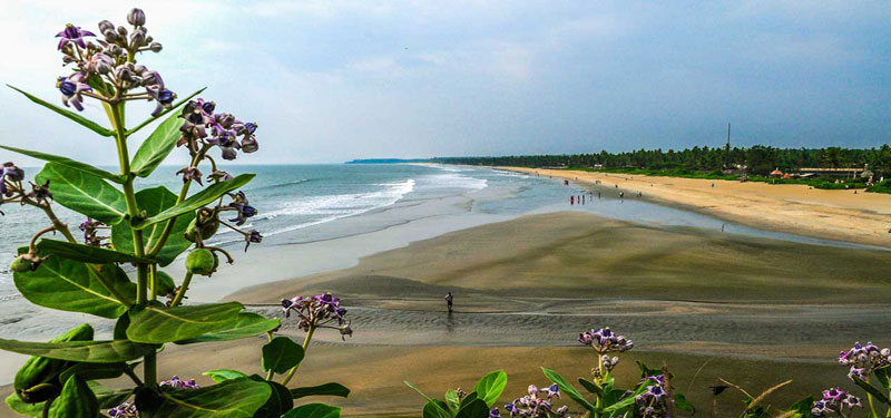 Payyambalam Beach Kerala