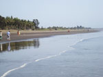 Arnala Beach Palghar