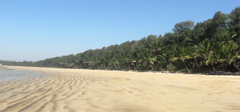Mahim Beach in Maharashtra