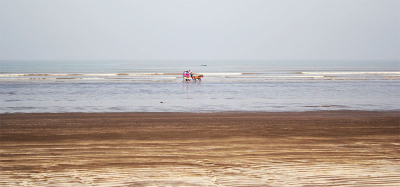 Shirgaon Beach in Maharashtra