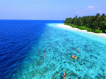 Fihalhohi Island Beach Maldives
