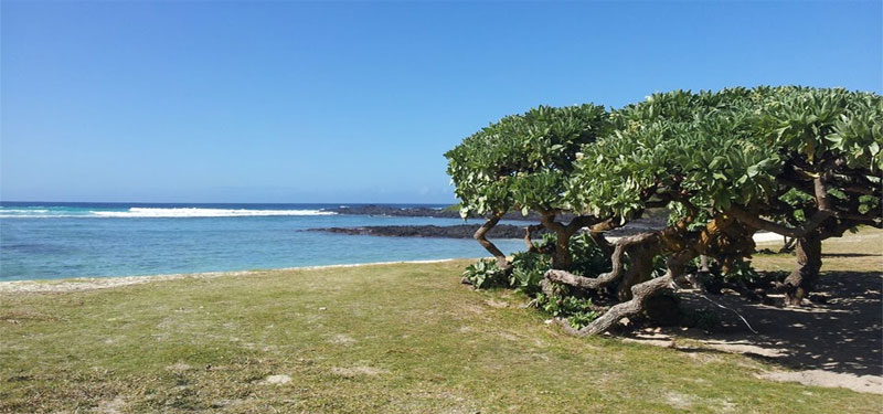 La Cambuse Beach in Mauritius