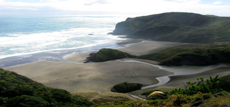 Anawhata Beach in New Zealand