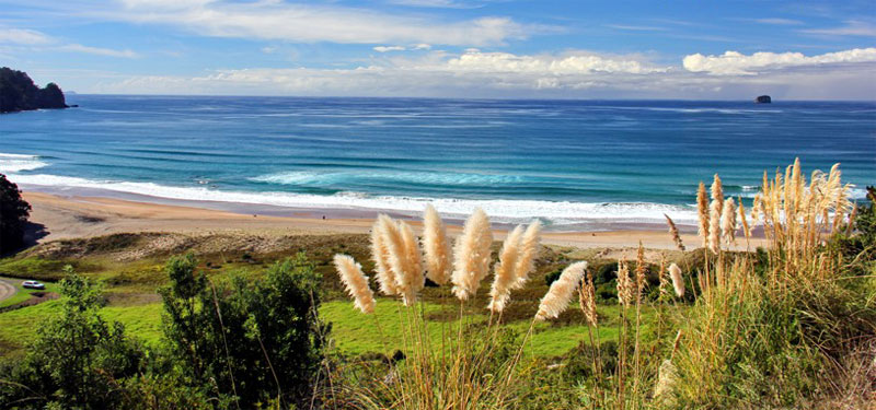Hot Water Beach in New Zealand