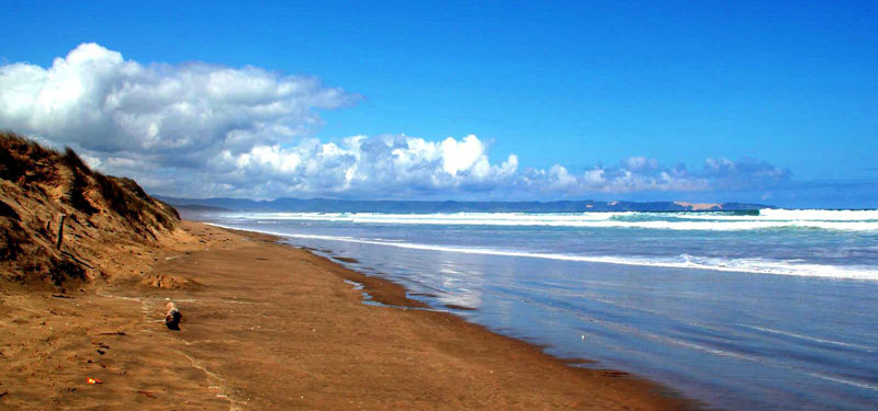Ninety Mile Beach in New Zealand