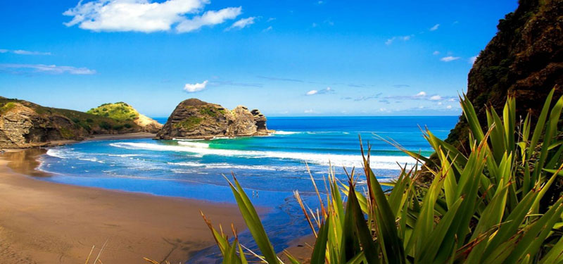 Piha Beach in New Zealand