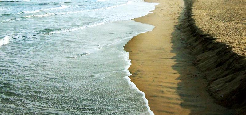 Aryapalli Beach in Orissa