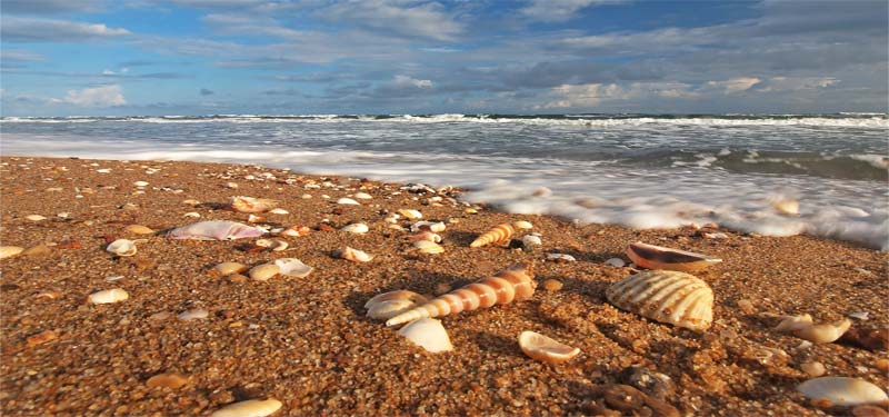 Balighai Beach in Orissa