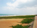 Thiruvanmiyur Beach Tamil Nadu